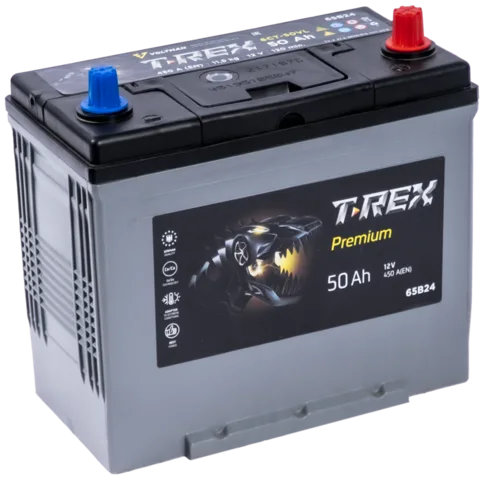 T-Rex Asia 6СТ-50 АПЗ (65B24L, правый+)