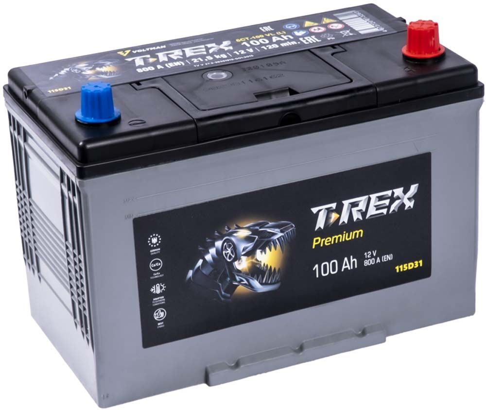 T-Rex Asia 6СТ-100 АПЗ (115D31L, правый+)